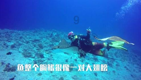 幽灵勇士中文无敌版